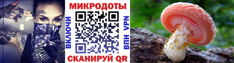 Псилоцибиновые грибы Cubensis  блэк спрут как зайти  Чухлома 