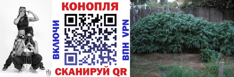 МАРИХУАНА Amnesia  где купить   Чухлома 